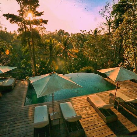 Angsoka Bungalow Ubud Dış mekan fotoğraf