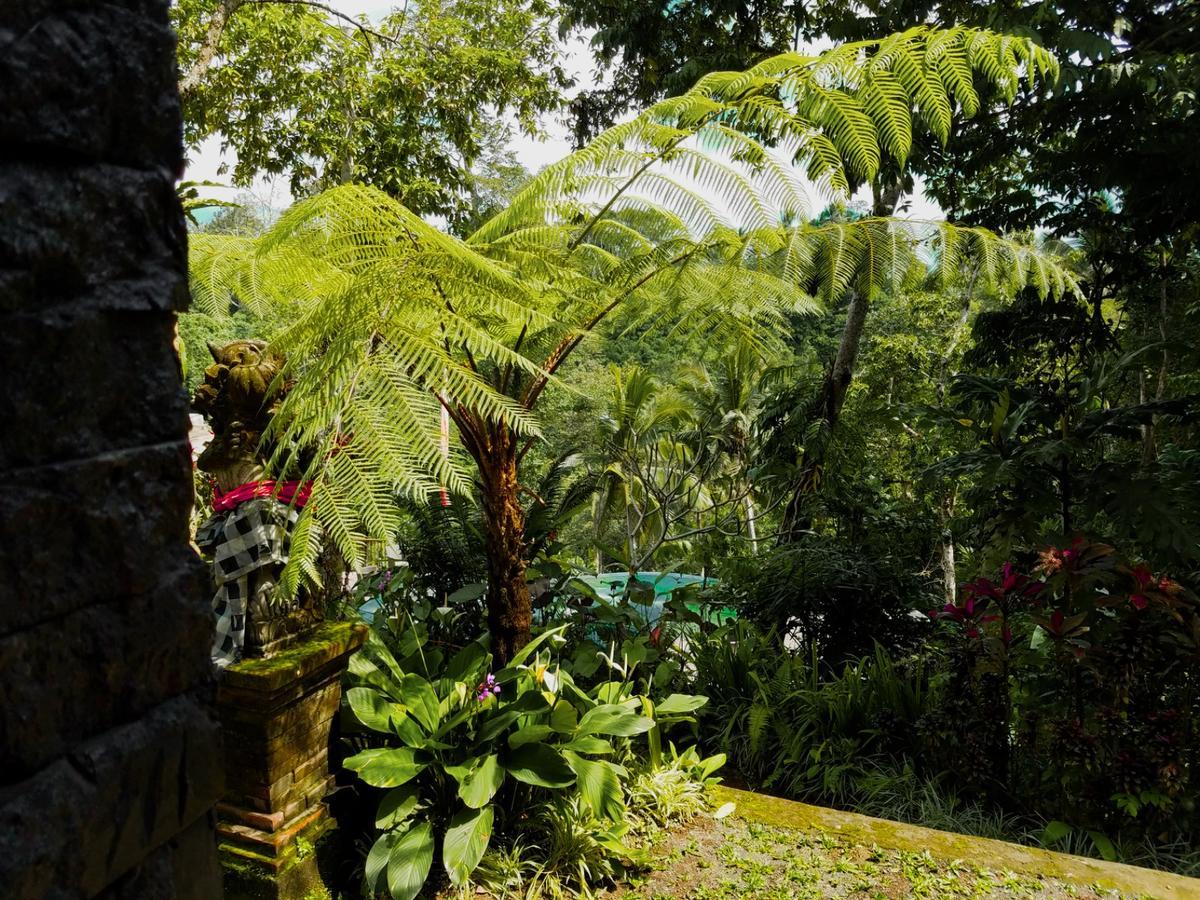 Angsoka Bungalow Ubud Dış mekan fotoğraf