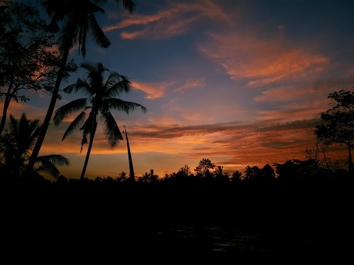Angsoka Bungalow Ubud Dış mekan fotoğraf