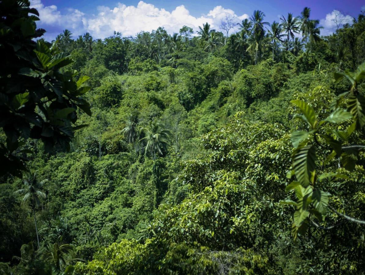 Angsoka Bungalow Ubud Dış mekan fotoğraf