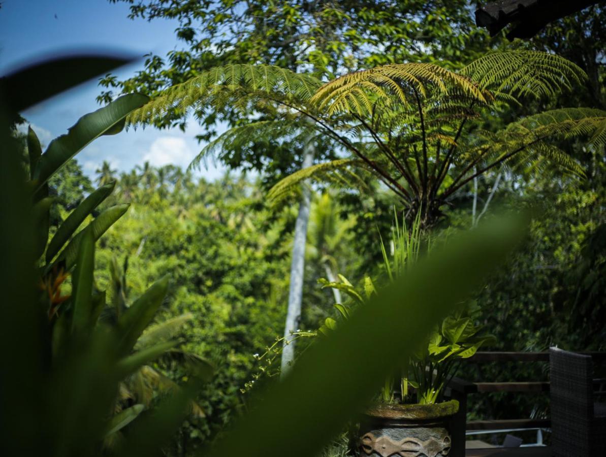 Angsoka Bungalow Ubud Dış mekan fotoğraf