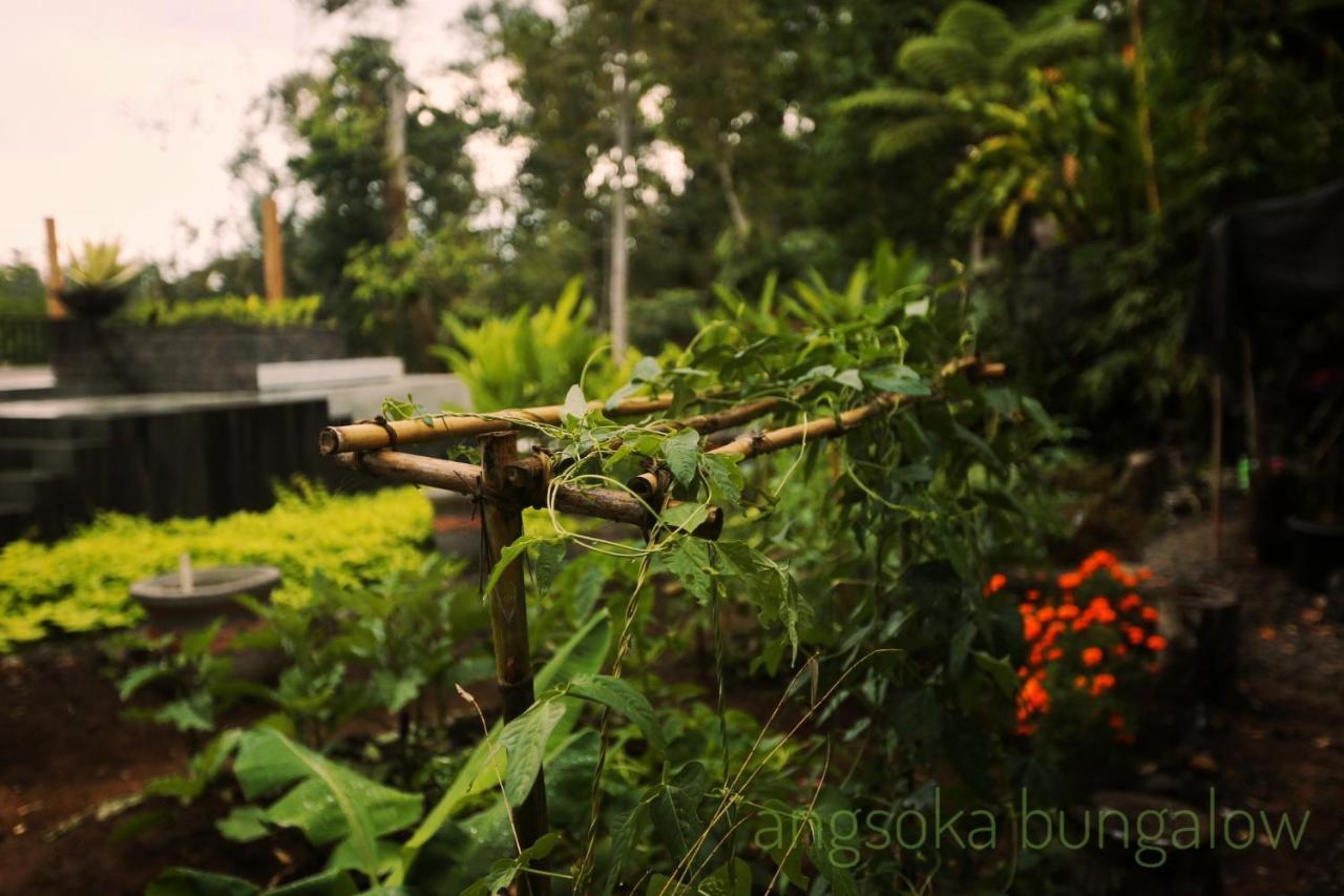 Angsoka Bungalow Ubud Dış mekan fotoğraf