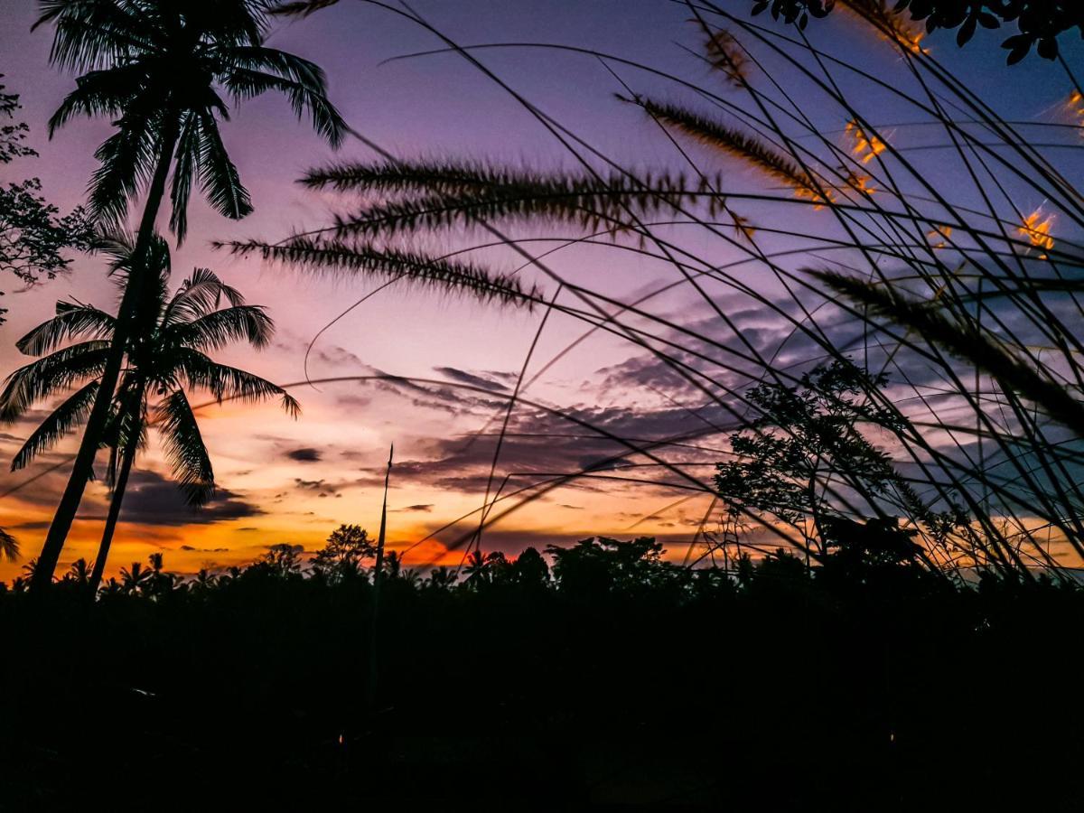 Angsoka Bungalow Ubud Dış mekan fotoğraf